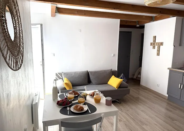 Cocon Urbain- 30m Des Allees Paul Riquet * Béziers